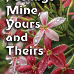 FEELINGS MINE, YOURS AND THEIRS